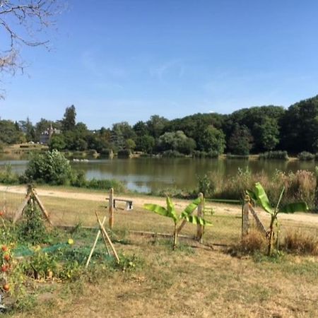 Maison Face A L'Etang Precy Экстерьер фото